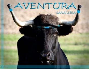 Ganaderia Aventura - Courses de vaches